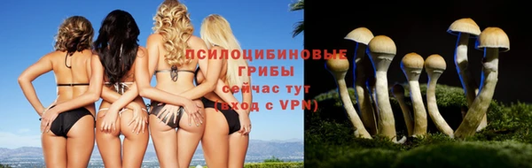 гашиш Балахна