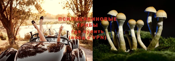 спиды Богородск