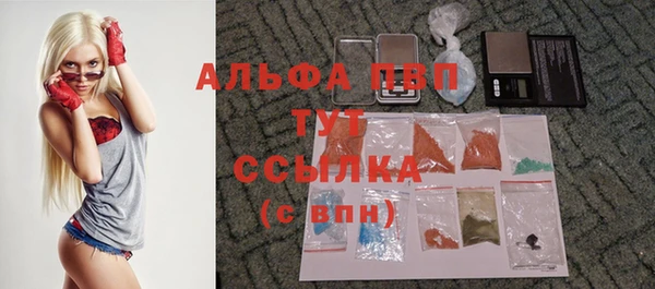 спиды Богородск